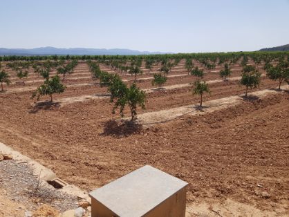 A través de la empresa pública SEIASA