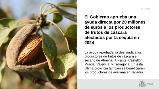 Hoy, en Consejo de Ministros