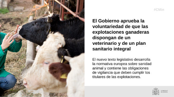 Hoy, en Consejo de Ministros