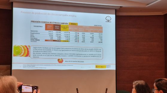 Durante la reunión de la mesa del sector citrícola