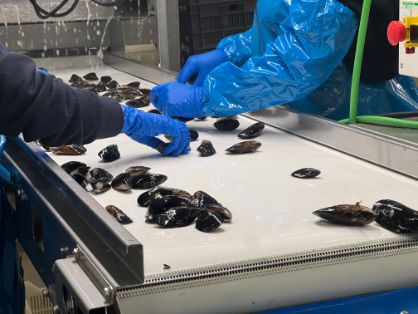 Hoy, en Muros (La Coruña)