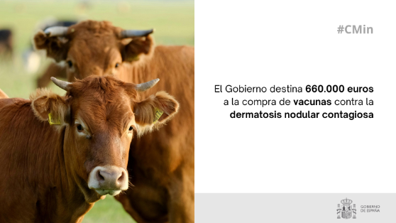 Por acuerdo adoptado hoy, en el Consejo de Ministros