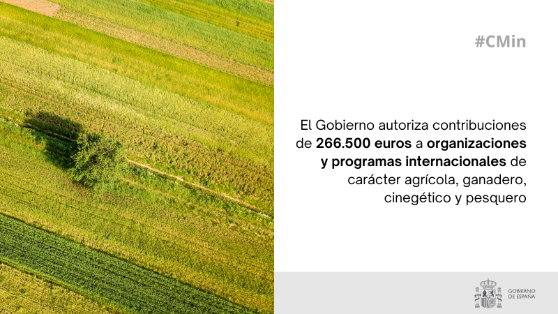 Hoy, en Consejo de Ministros