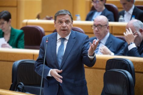 Hoy, en la sesión de control al Gobierno en el Senado