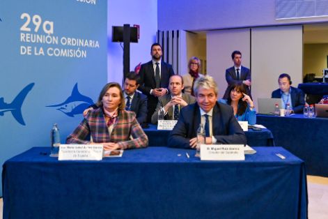 Atun atlantico sevilla-15