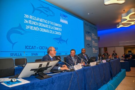 Atun atlantico sevilla-19