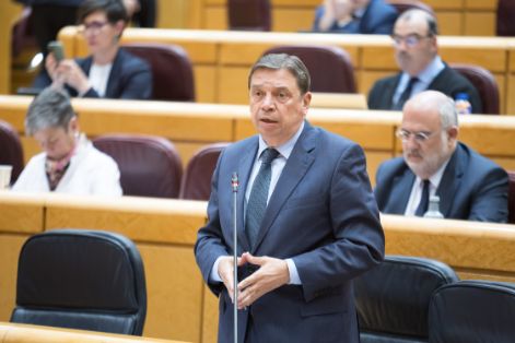 Hoy, en la sesión de control en el Senado