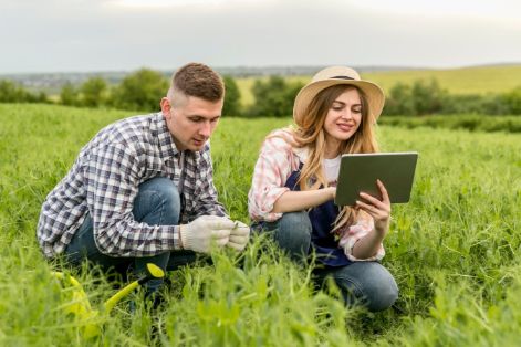 Publicada la resolución definitiva