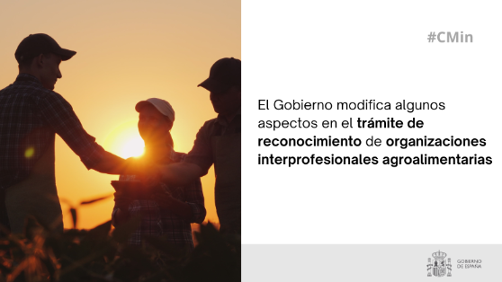 Hoy, en Consejo de Ministros