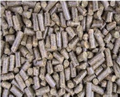 Mediante real decreto publicado en BOE