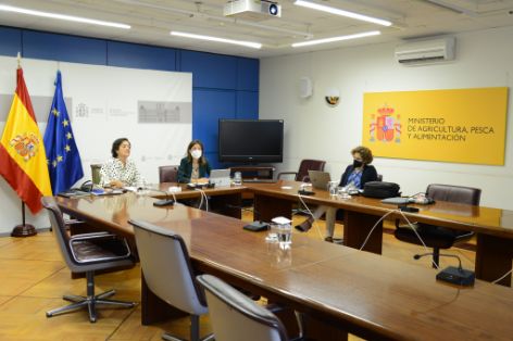 HOY, EN EL WEBINARIO ORGANIZADO POR EL MAPA CON MOTIVO DEL AÑO INTERNACIONAL DE LAS FRUTAS Y HORTALIZAS FAO-2021 