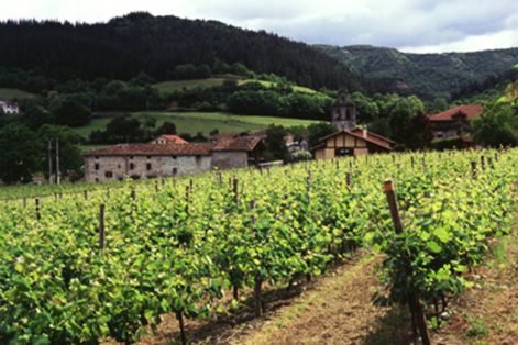 Conclusiones del congreso sobre “La arquitectura verde de la PAC post 2020. Profundizando en eco-esquemas” en Zafra (Badajoz) 