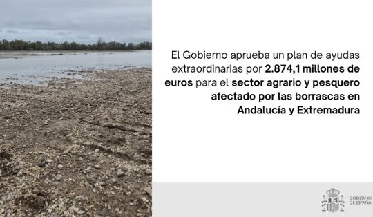 La orden ministerial ha sido publicada hoy en el BOE