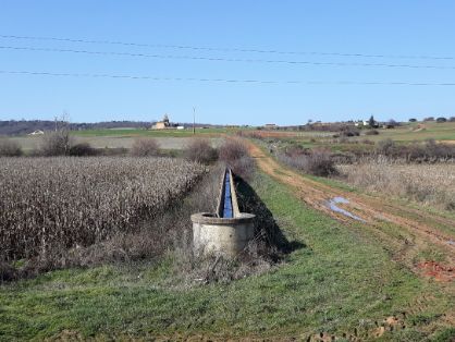 PROMOVIDAS POR EL MINISTERIO DE AGRICULTURA, PESCA Y ALIMENTACIÓN, A TRAVÉS DE SEIASA  