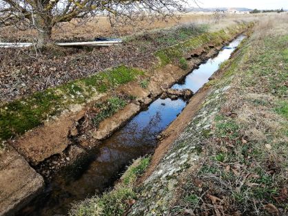 PROMOVIDAS POR EL MINISTERIO DE AGRICULTURA, PESCA Y ALIMENTACIÓN, A TRAVÉS DE SEIASA  