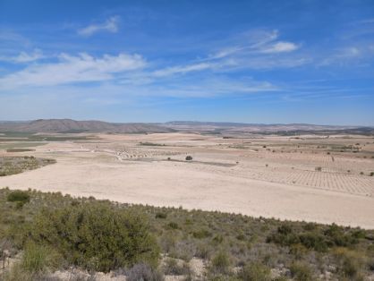 Con financiación de fondos Next Generation de la Unión Europea 