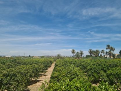 Informe perfil de referencia del usuario y de las operaciones SAECA 2023 