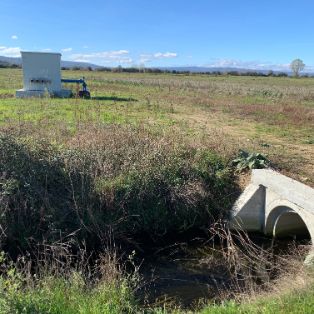 Financiadas con fondos Next Generation de la UE 
