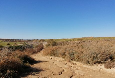 A través de la Sociedad Mercantil Estatal de Infraestructuras Agrarias (SEIASA)