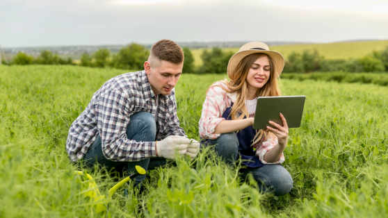 La convocatoria se ha publicado hoy en el BOE