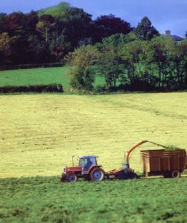 Resultados provisionales de la Red Contable Agraria Nacional 2021