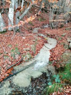 A través de su empresa pública instrumental SEIASA