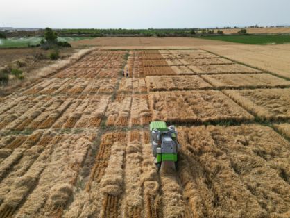 Se trata de una fase clave para la comercialización