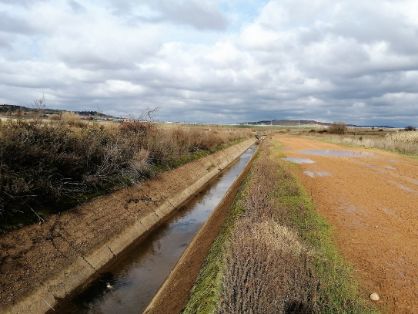 PROMOVIDAS POR EL MINISTERIO DE AGRICULTURA, PESCA Y ALIMENTACIÓN, A TRAVÉS DE SEIASA  