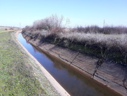 PROMOVIDAS POR EL MINISTERIO DE AGRICULTURA, PESCA Y ALIMENTACIÓN, A TRAVÉS DE SEIASA  