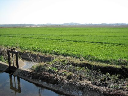 PROMOVIDAS POR EL MINISTERIO DE AGRICULTURA, PESCA Y ALIMENTACIÓN, A TRAVÉS DE SEIASA  