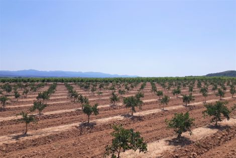 HOY, EN EL CONSEJO DE MINISTROS  