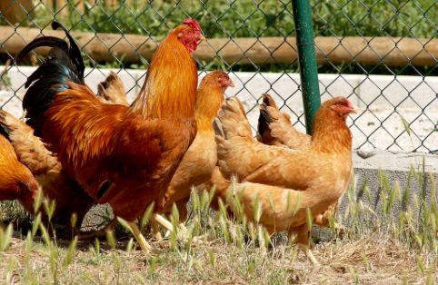 HOY, EN EL BOLETÍN OFICIAL DEL ESTADO 