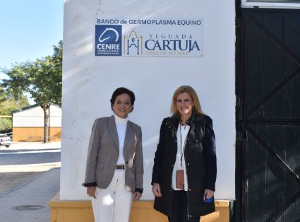 Hoy, en unas jornadas en la Yeguada La Cartuja, en Jerez de la Frontera 


