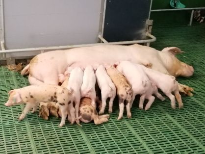 La orden se ha publicado hoy en el BOE