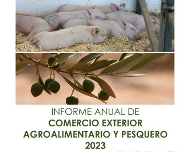 Publicado el Informe Anual de Comercio Exterior 2023 