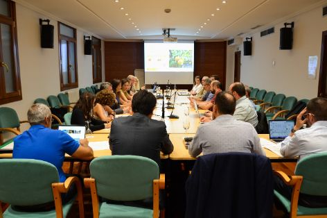 Durante la reunión de la mesa del sector citrícola
