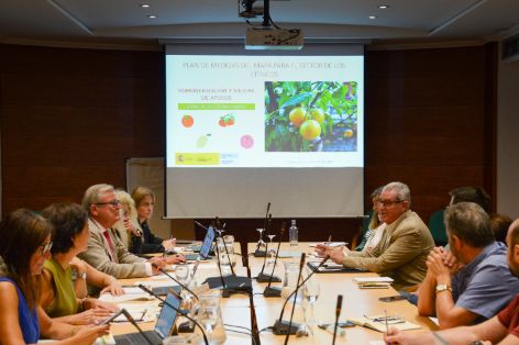 Durante la reunión de la mesa del sector citrícola