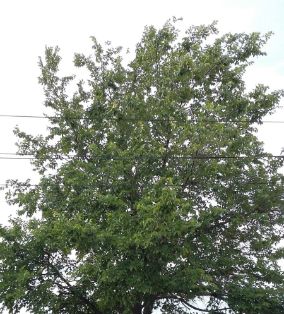 Consejo de Ministros 