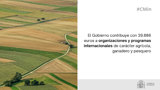 Hoy, en el Consejo de Ministros