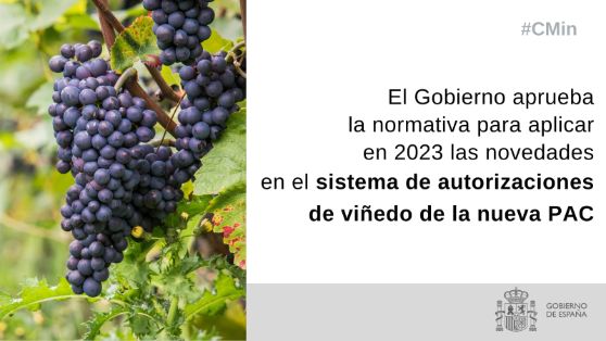 HOY, EN EL CONSEJO DE MINISTROS