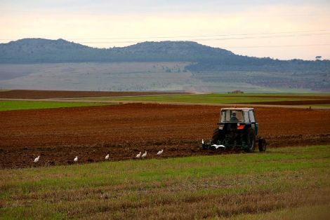 REUNIÓN TAMBIÉN PREPARATORIA DE LA PRÓXIMA CONFERENCIA SECTORIAL