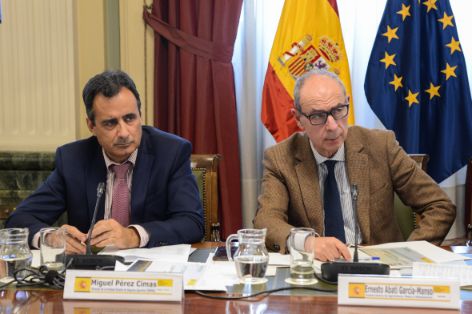 En la reunión de la comisión general de Enesa