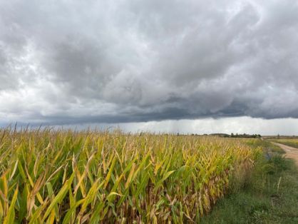 HOY, EN CONSEJO DE MINISTROS