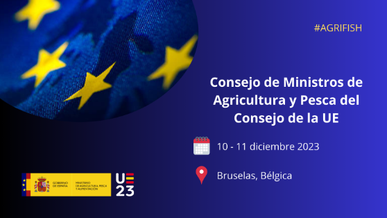 En Bruselas, el domingo, día 10, y el lunes 11 de diciembre