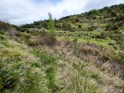 Con fondos del Plan de Recuperación, Transformación y Resiliencia 