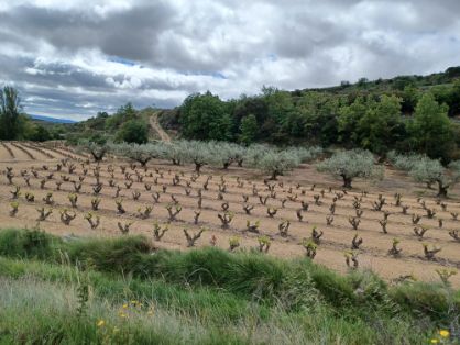 Con fondos del Plan de Recuperación, Transformación y Resiliencia 