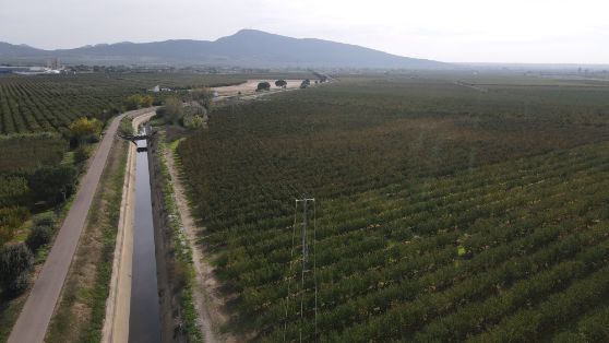 Para mejorar la eficiencia y sostenibilidad de las explotaciones  