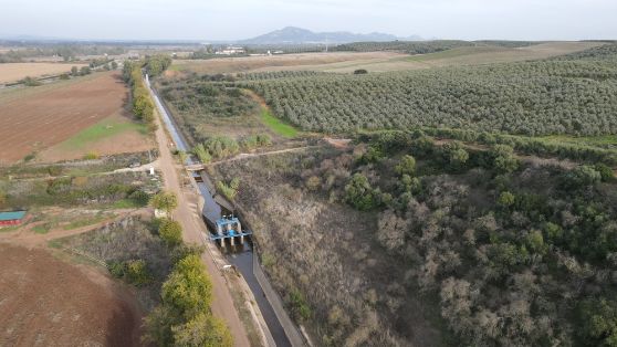 Para mejorar la eficiencia y sostenibilidad de las explotaciones  