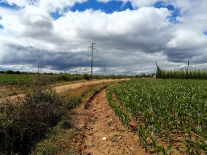 Con fondos europeos Next Generation y Feader 