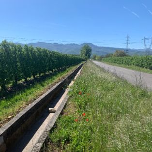 Con fondos europeos Next Generation y Feader 